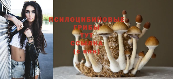МДПВ Алексеевка