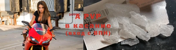 сатива Абаза