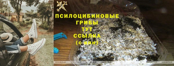 spice Абинск