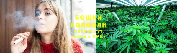 сатива Абаза